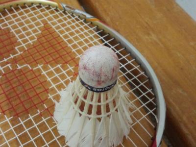 der Federball hats ganz sch&ouml;n abbekommen, rot und blau sieht er jetzt aus, die Federn sind auch k&uuml;rzer