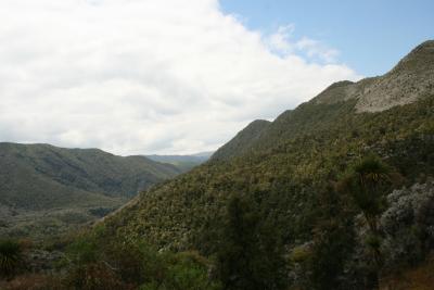 Auf dem Weg zu den Hotsprings von Puketitiri