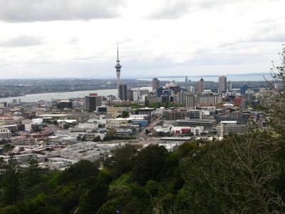 Skyline von Auckland