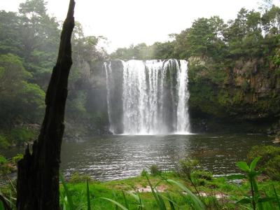 Rainbow-Falls bei Kerikeri