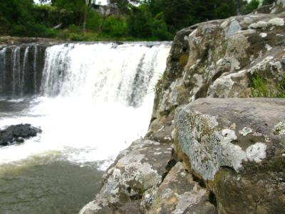 Haruru-Falls bei Paihia