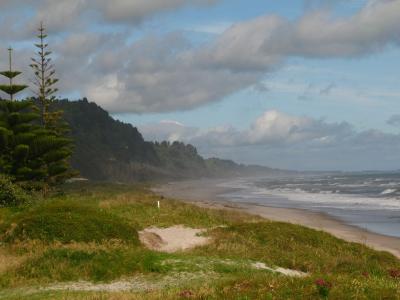 Der Strand bei Matata