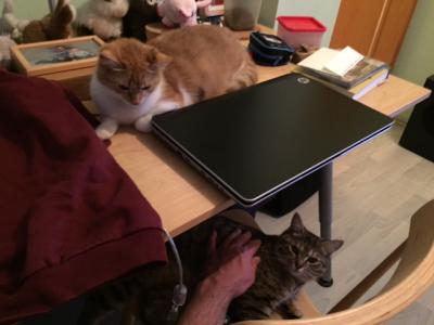 Lilly und Lucy gemeinsam Lilly und Lucy gemeinsam
