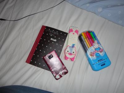 Hier gibts alles. Scheinchen-Notizbl&ouml;cke, Farbstifte in allen Farben und Notizb&uuml;cher bis zum gehtnichtmehr! 