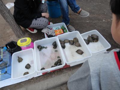 Essen oder nicht essen, das ist hier die Frage.