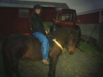 Reitabenteuer