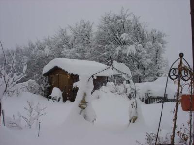 Garten in Richtung Süden