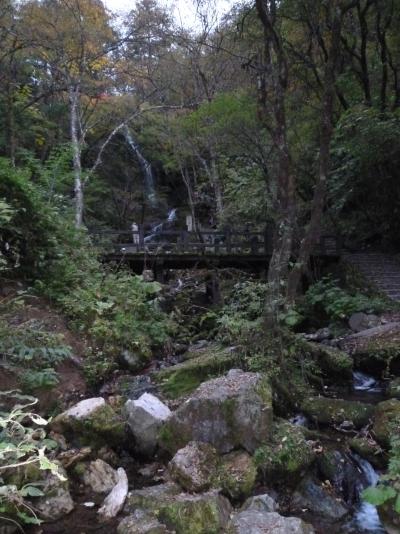 urspr&uuml;ngliche Vegetation