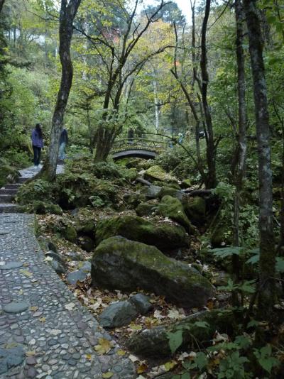 urspr&uuml;ngliche Vegetation