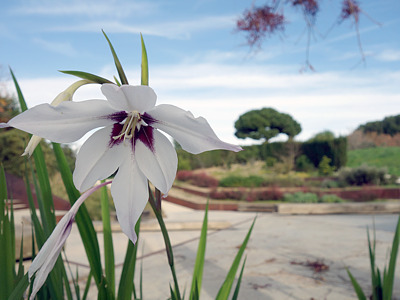 Jardín botánico Barcelona