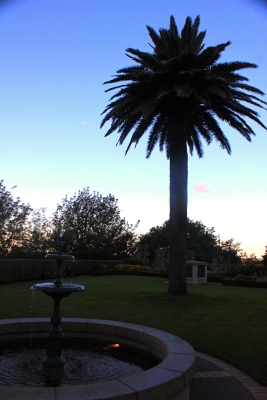 Garten vom Mission Estate.