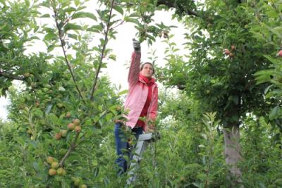 Scarlett auf der Leiter.