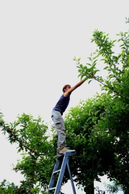 Hey, hier kommt Alex!