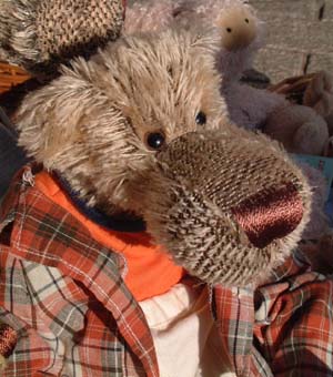 Baer mit karierter Jacke