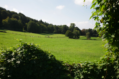 Blick vom Champierweg in die Soers