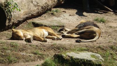 Bauch voll   Sonne scheint   alles paletti