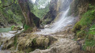 Schleierfälle in der Ammerschlucht