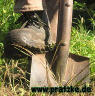 Pratzke-Homepage
