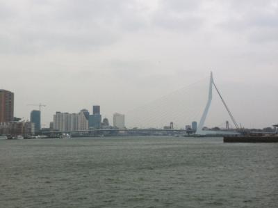 Die Erasmus-Brücke in Rotterdam