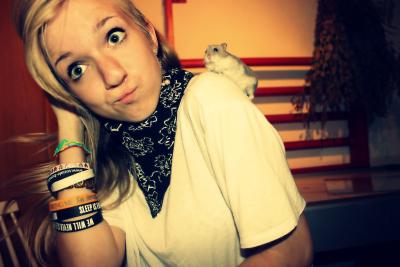 hamster *-*