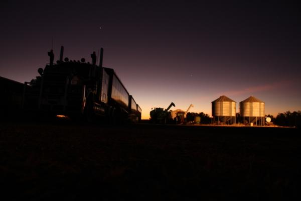 Sunset over Golden Downs