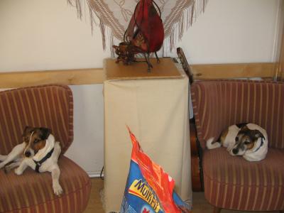 Puschkin und Einstein - die  lustigen Jackys