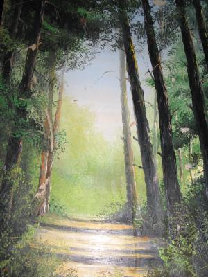 Wundersch&ouml;ner Wald