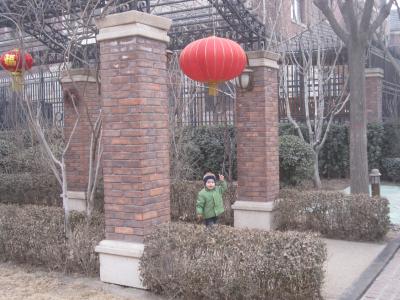 Die Lampions f&uuml;r das Laternenfest gefallen Nils ganz besonders