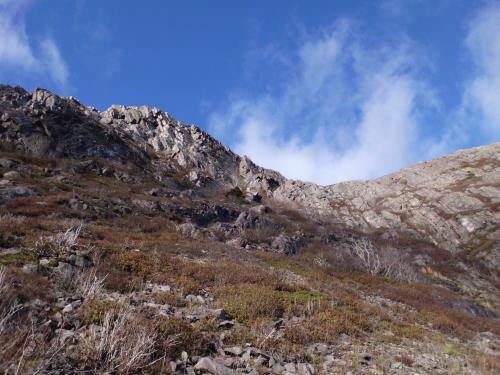 Picture of the day (Signal Hill - NHead Trail