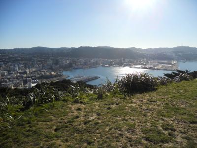 aussichtspunkt in wellington. wie ich diese Stadt liebe. (: