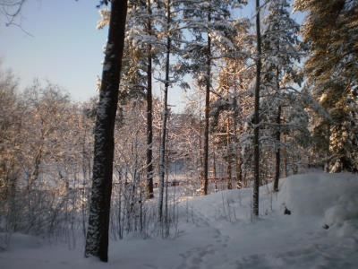 [Bild: finnische Winterlandschaft]