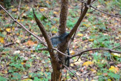 Süß "verpackt". Süß "verpackt".