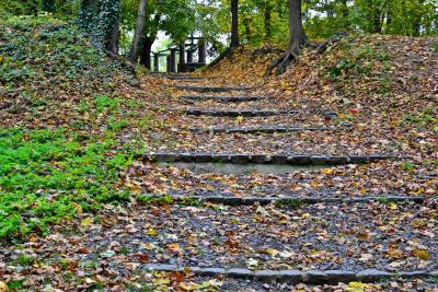 Rauf, hinauf. Rauf, hinauf.