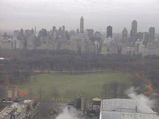 Blick auf den Central Park in New York und wer genau hinguckt kann Christos Gates erahnen