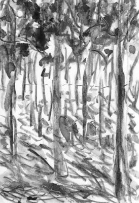 Marker, Tusche