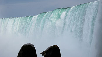 Niagara Falls. (novala) Niagara Falls. (novala)