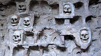 Skulls. (novala) Skulls. (novala)
