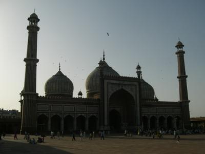 die Jama Masjid - groesste moschee indiens (leider schlecht zu erkennen wegen gegenlicht)
