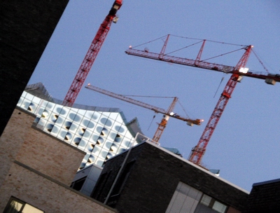 wald vor lauter b&auml;umen