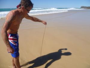 Brad mit Wurm auf FraserIsland