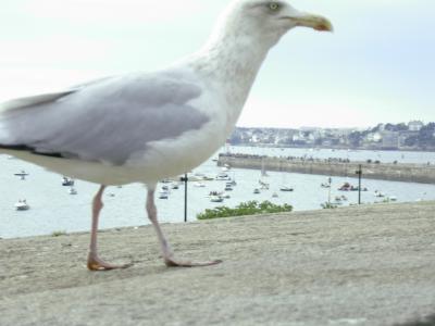 Beweis: Wir waren am Meer.