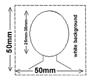 wie muss das bild f&uuml;r das visum beschaffen sein?