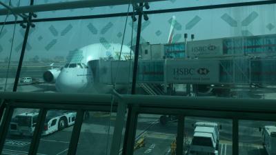 Das ist der Airbus mit dem wir von Dubai nach Sydney geflogen sind. Das ist der Airbus mit dem wir von Dubai nach Sydney geflogen sind.