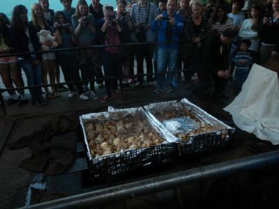 Das ist typisch maorisch zubereitetes Essen. war sehr lecker. Das ist typisch maorisch zubereitetes Essen. war sehr lecker.