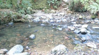 Einziger Weg über den Fluss Einziger Weg über den Fluss
