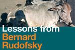 schneller tip: "lessons from bernard rudofsky" - letzter tag im architekturzentrum wien -> click für info auf HP