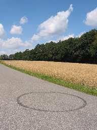 R&auml;tselhafte Bremsspur