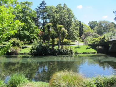 North Hagley Park in Christchurch