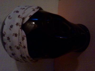 Das ist das Haarband von dem ich euch erz&auml;hlt habe.