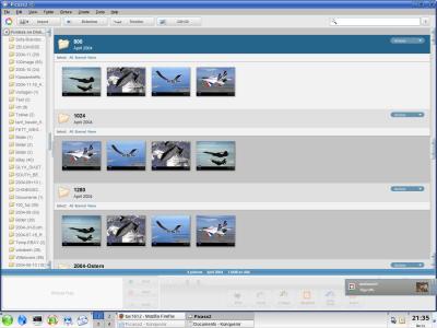 Picasa unter Linux